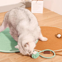 Cat Scratcher Mat image 3
